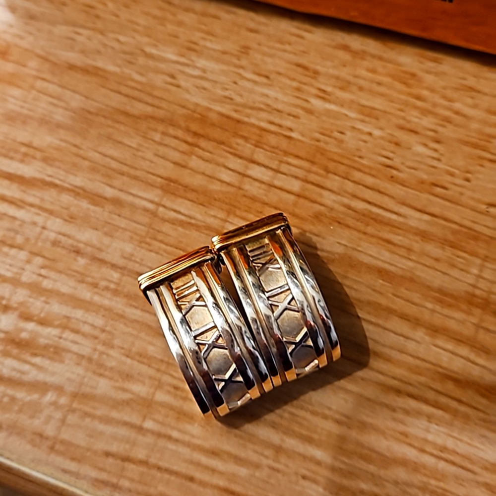 Tiffany & Co Earrings💚